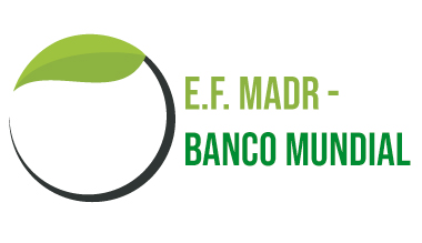 E.F.MADR-BANCO MUNDIAL
